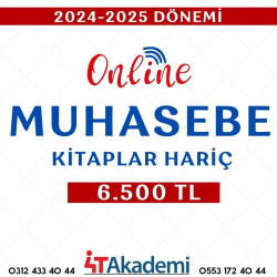 2024 - 2025 DÖNEMİ MUHASEBE ONLINE  (KİTAPLAR HARİÇ) 
